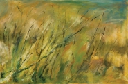 Tall Grass